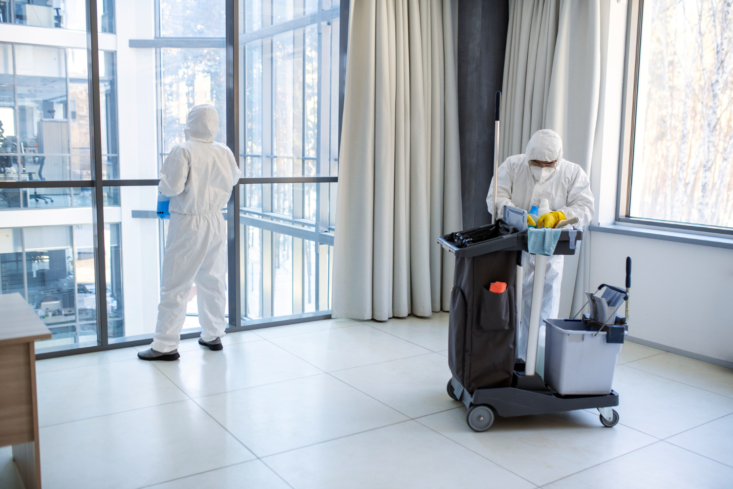 Madam Clean Hizmet Görseli